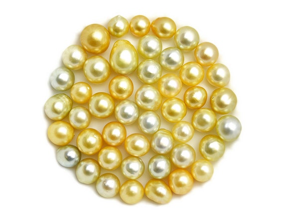 Golden Southsea Loose pearls oval 12mm -17mm (#121)