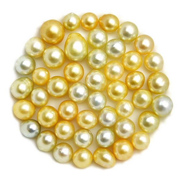 Golden Southsea Loose pearls oval 12mm -17mm (#121)