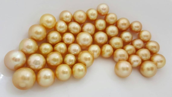 Golden South Sea Pearls, Wholesale Gold Pearls, Oval, Button Shapes (pre-full drilled 0.8mm)