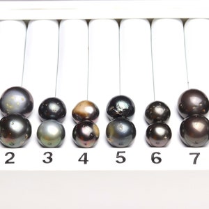 Paired Tahitian Pearl Matched Sets (12-13mm), Pick Your Pearls! (PLP073)