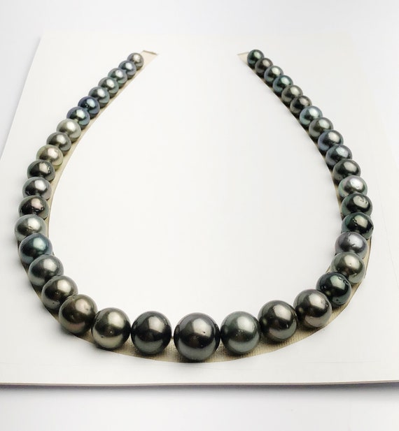 Loose Tahitian Pearls Set, Multicolor, Wholesale - Only 22 per pearl - A Quality (231)