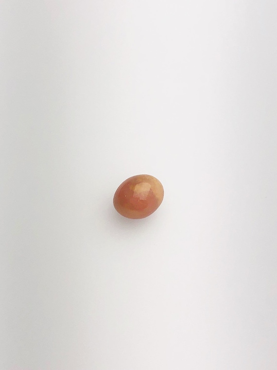 Conch Pearl Loose 7.96mm x 6.18mm No. 27