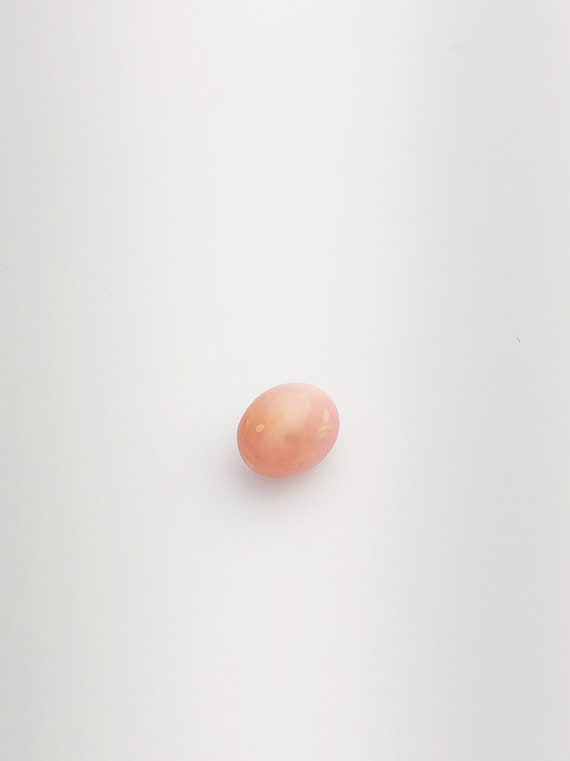 Conch Pearl Loose 10.3mm x 7.3mm No. 10