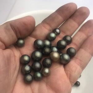 30 pcs, Round/Semi-Round/ Oval Tahitian Pearls, A, 7mm to 11mm, Imported from Tahiti image 2