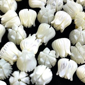 Mother of Pearl white tulip flower