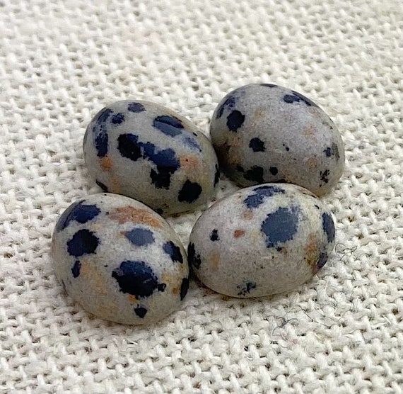 Dalmatian Jasper Oval Cabochon Sku#M1829