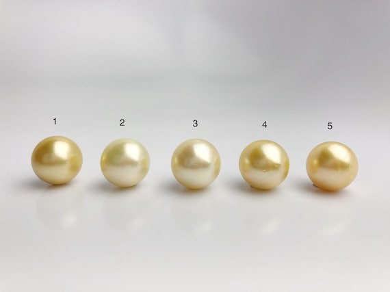 15mm - Golden South Sea Loose Pearls - Round - AA - 50% Percent Off Special, South Sea (#579 No. 1-5)