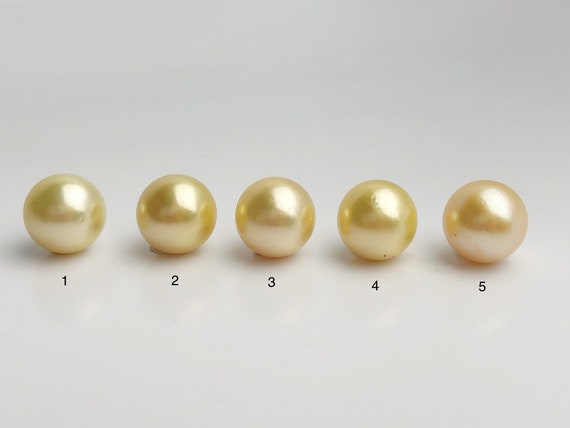 15mm - Golden South Sea Loose Pearls - Round - AA - 50% Percent Off Special, South Sea (#583 No. 1-5)