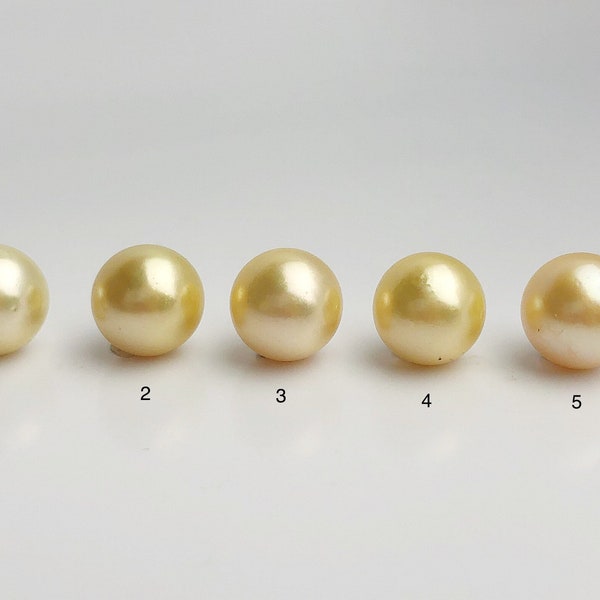 15mm - Golden South Sea Loose Pearls - Round - AA - 50% Percent Off Special, South Sea (#583 No. 1-5)