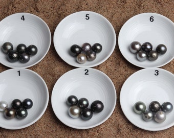 May include: Six white ceramic dishes, each numbered 1 through 6, contain black pearls of varying sizes and shades. The pearls are arranged in a cluster in each dish.