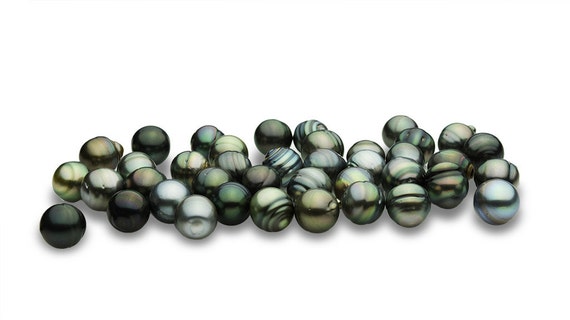 13mm Tahitian Pearls - Circle Shapes - (RF-029)