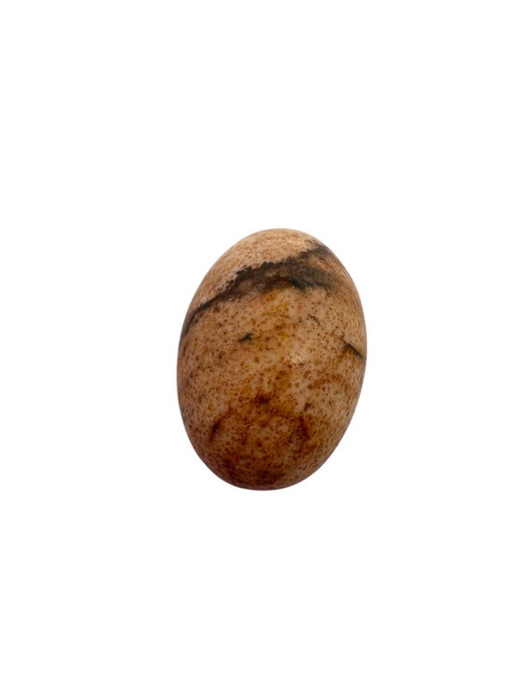 Picture Jasper Oval Cabochon