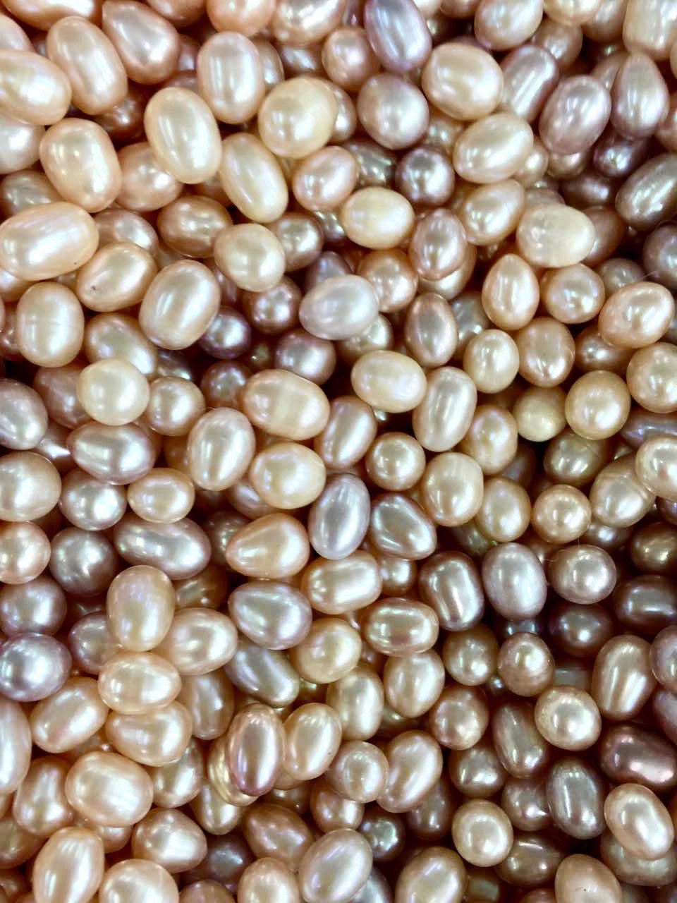200 Piece Lot CLOSEOUT SALE 0.99 Each Bulk Oysters, Oval Pearl in