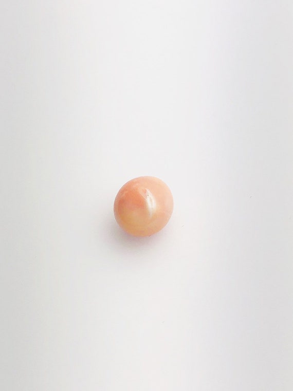 Conch Pearl Loose 11mm x 9.1mm No. 18