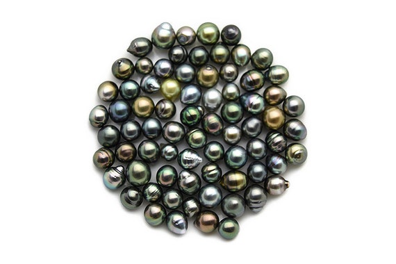 AA TOP Peacock color - Wholesale Tahitian Pearls - sizes 9 to 11 mm (RF 009)