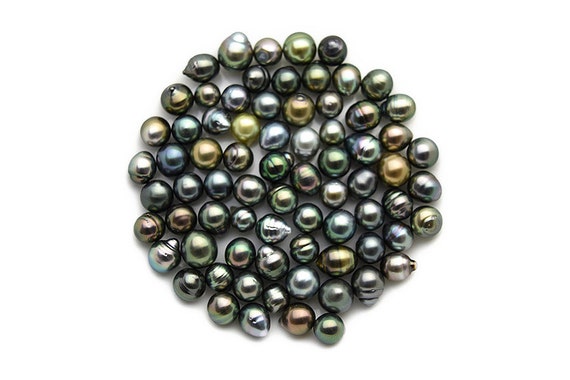 AA TOP Peacock color - Wholesale Tahitian Pearls - sizes 9 to 11 mm (RF 009)