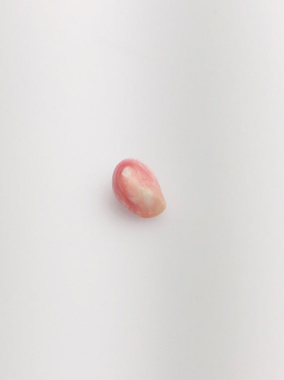 Conch Pearl Loose 12.4mm x 6.6mm No. 4