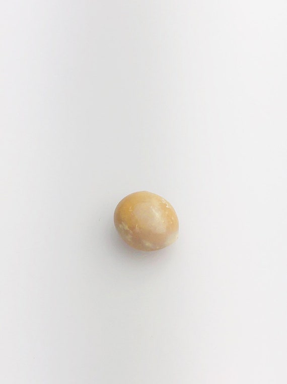 Conch Pearl Loose 11.35mm x 6.44mm No. 28