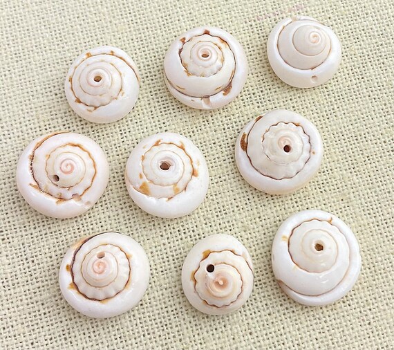 Shell Beads SKU#M2007