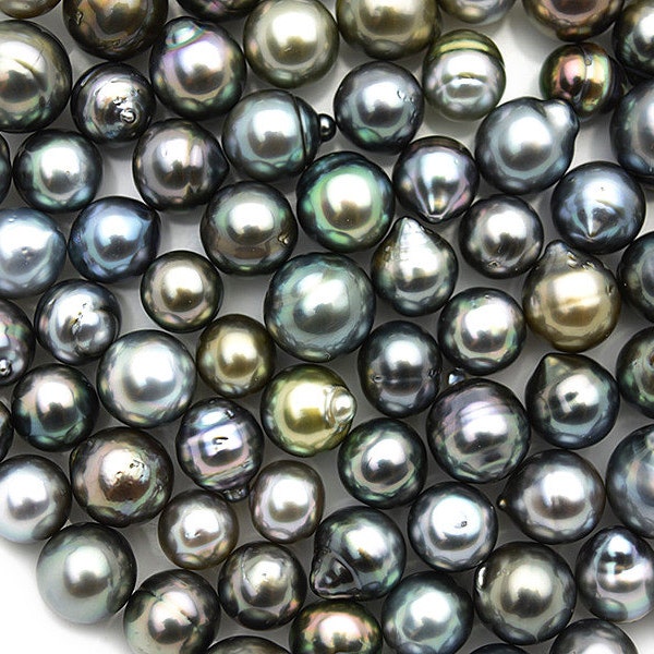 Tahitian Circle Loose Pearls Light 8mm-12mm (Lot #110)