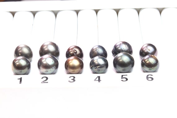 Paired Tahitian Pearl Matched Sets (12-14mm), Pick Your Pearls! (PLP016)