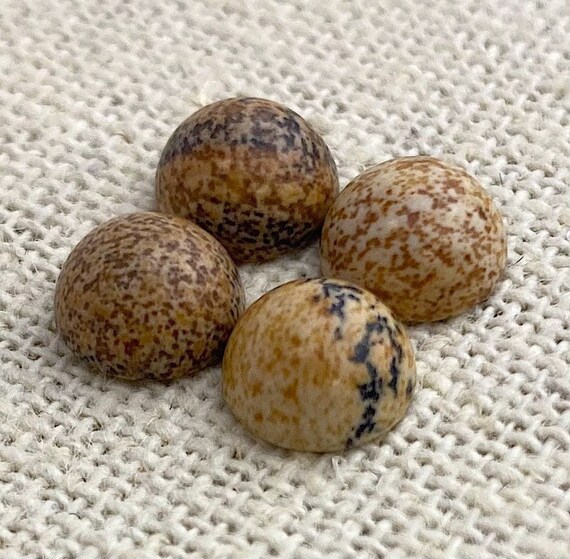 Picture Jasper Circle Cabochon Sku#M1774