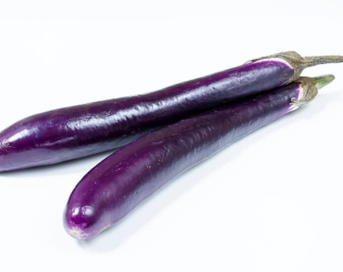 Eggplant Long Purple Italian Non GMO Heirloom Vegetable Seeds Sow No GMO® USA