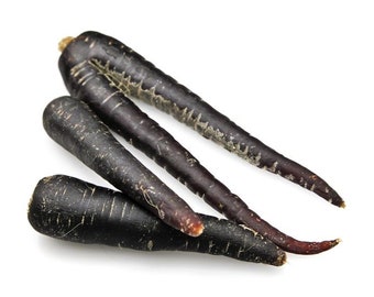 Carrot Seeds, Black Nebula, Non GMO, Heirloom, Annual, Root Vegetable, Deep Purple / Almost Black, RARE Seeds, Daucus carota, Crisp, Sweet