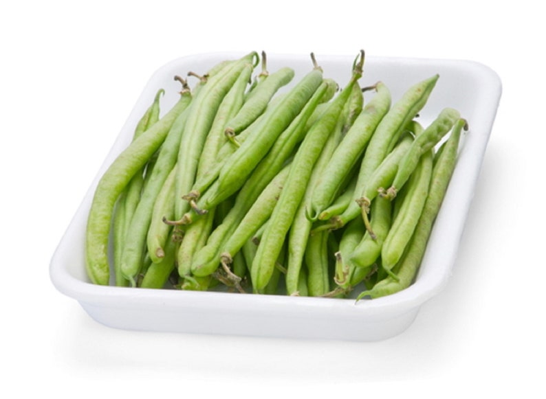 Garden Green Bean Blue Lake 274 Vegetable Easy to Grow Prolific Producer Heirloom Snap Bean Bush Bean Non GMO Bean Seeds