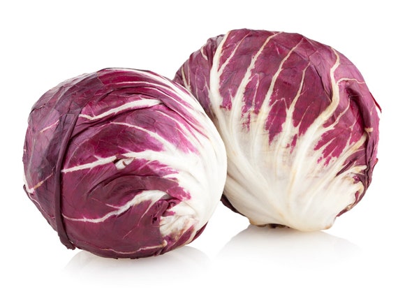 Radicchio traduccion italiano espanol