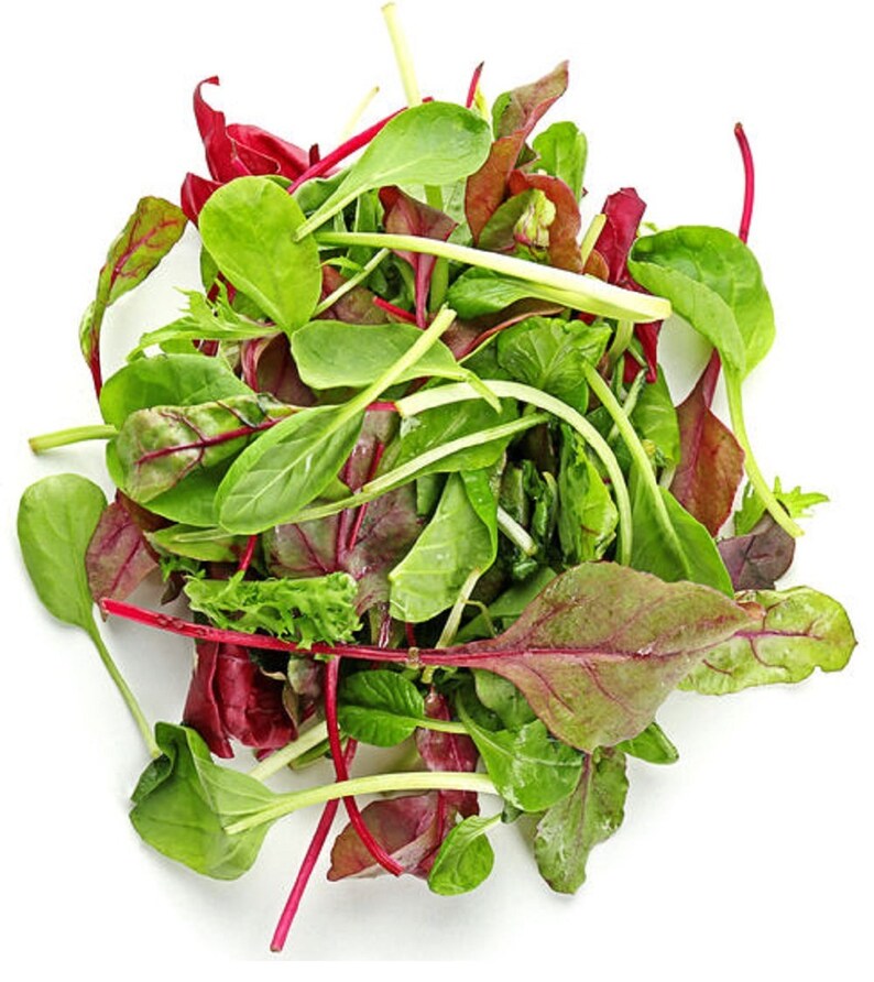 Lettuce Mixed Greens Gourmet Non GMO Heirloom Vegetable Seeds Etsy