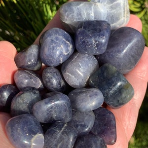 May include: A collection of tumbled blue kyanite stones in various sizes and shapes. The stones have a smooth, polished finish and a deep blue color.