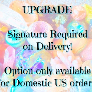 Upgrade -  Add Signature Required on Delivery...  Please read description before purchasing, ONLY for Domestic US orders!