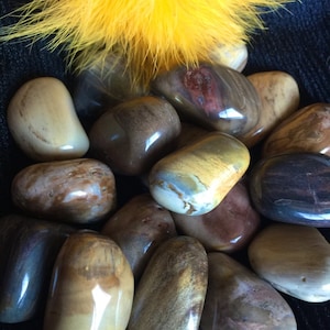 May include: A selection of polished gemstones in shades of brown, beige, and cream, with a shiny surface. A cluster of bright yellow feathers is placed above the stones. The text "Zen with Gems" is at the bottom.