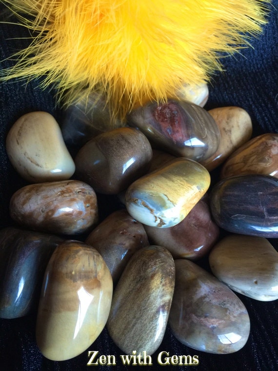 Tumbled Petrified Wood, Premium Quality, Crystal Grid, Chakra, Sacred Space, Altar, Reiki, Meditation, Pagan!