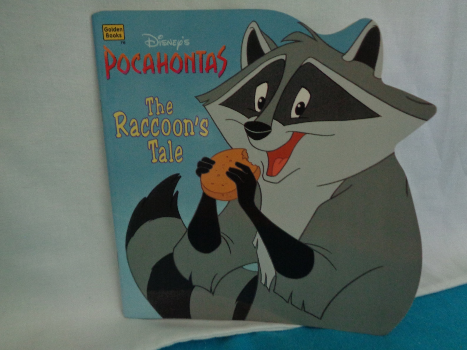 The Raccoon In Pocahontas Name, Importance, And Cultural Impact(02)
