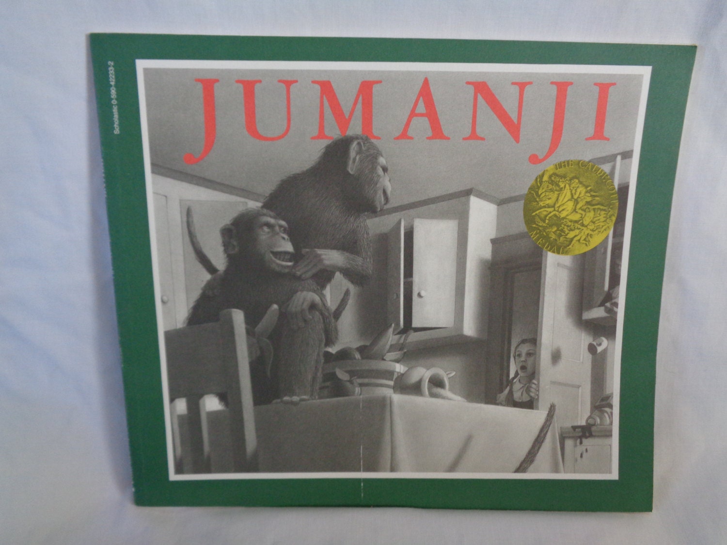 the jumanji book the jumanji book