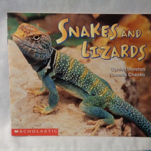 vintage 1998 Snakes and Lizards book by Daniel Moreton and Pamela Chanko