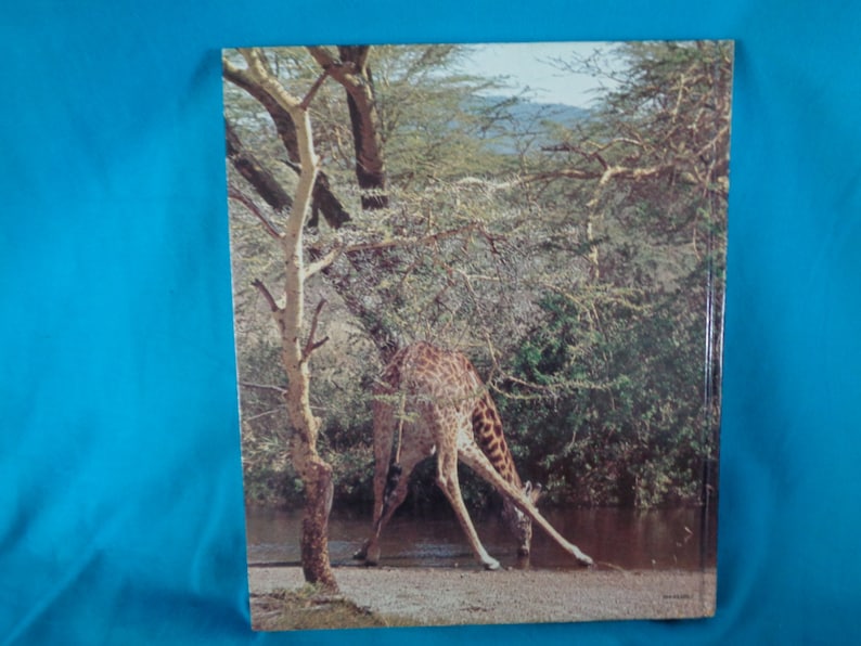 vintage 1982 Wild Animals of Africa book by Beatrice Brown Borden image 2