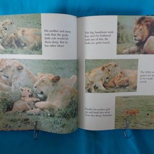 vintage 1982 Wild Animals of Africa book by Beatrice Brown Borden image 5