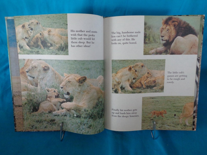 vintage 1982 Wild Animals of Africa book by Beatrice Brown Borden image 5