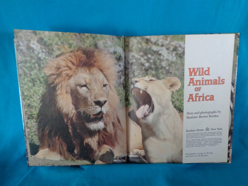 vintage 1982 Wild Animals of Africa book by Beatrice Brown Borden image 3