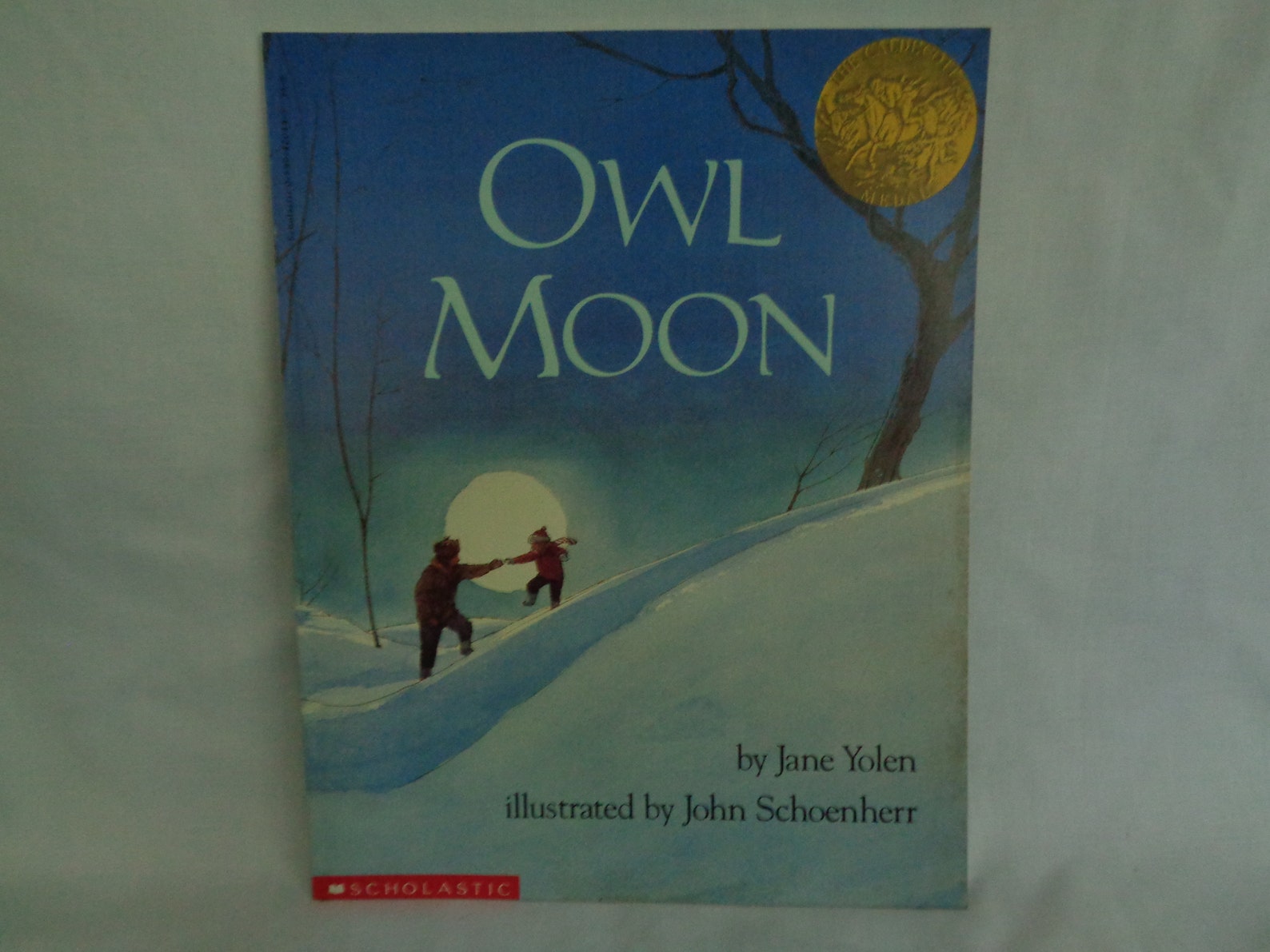 owl and moon book owl and moon book