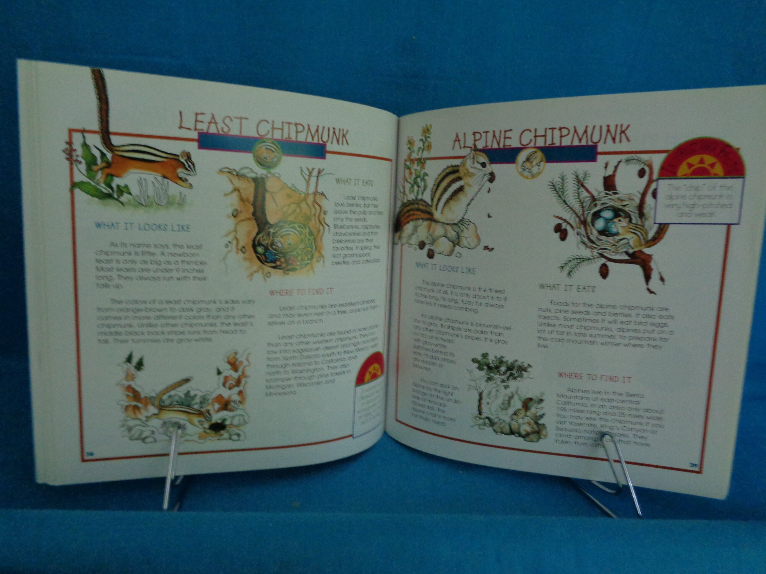 1996 Rabbits Squirrels and Chipmunks Takealong Guide Book by Etsy