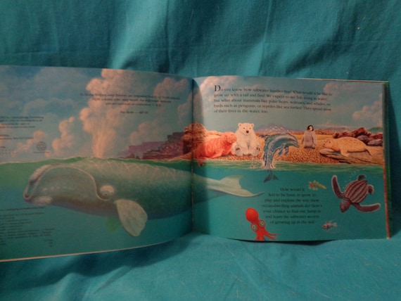 Families Of The Deep Blue Sea
