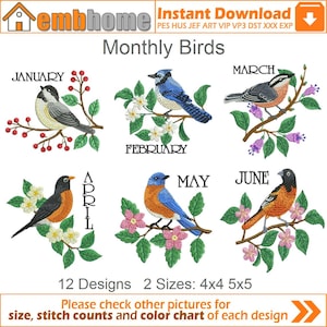 Monthly Birds Machine Embroidery Designs Instant Download 4x4 5x5 hoop 12 designs APE2551