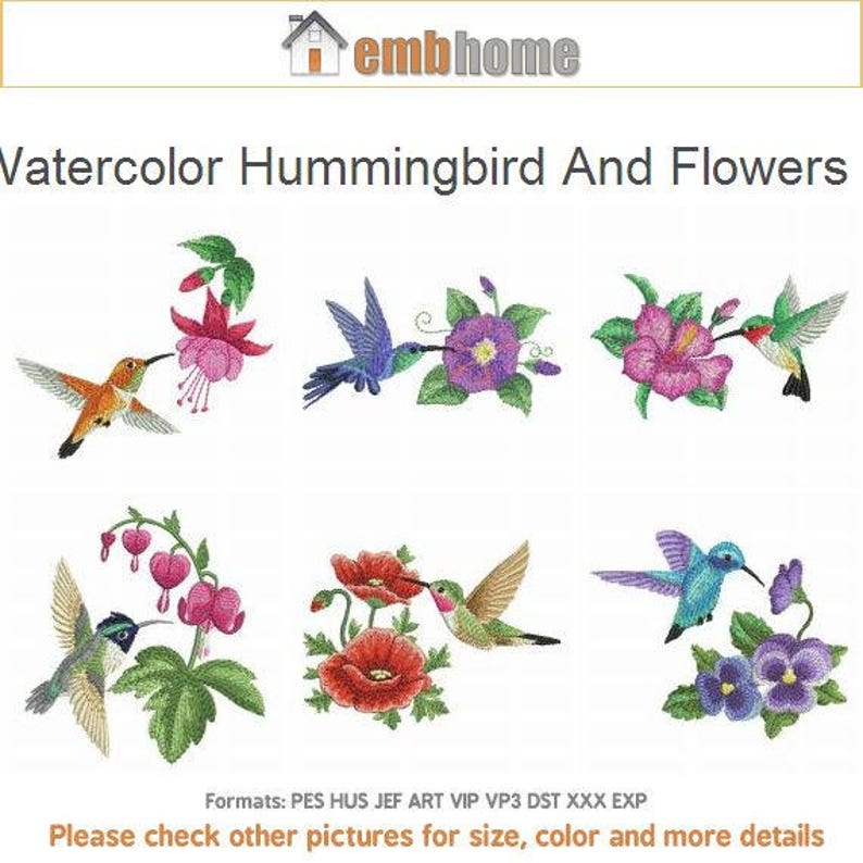Dessins De 4 X 4 Cerceau 10 Aquarelle Colibri Et Fleurs 3 Broderie Dessins Téléchargement Instantané Ape2530