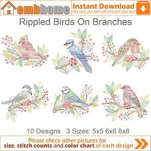 May include: Ten embroidery designs of birds perched on branches with colorful flowers and berries. The designs are available in three sizes: 5x5, 6x6, and 8x8 inches.