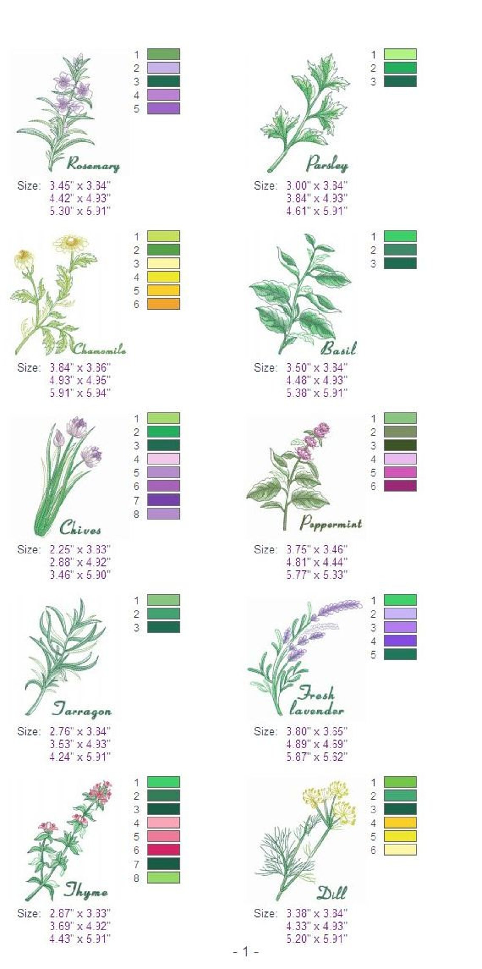 Kitchen Herbs Machine Embroidery Designs Instant Download 4x4 Etsy