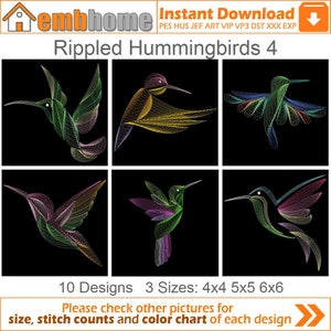 Rippled Hummingbirds Machine Embroidery Designs Instant Download 4x4 5x5 6x6 hoop 10 designs APE3142